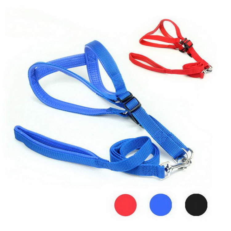 Large dog Harness