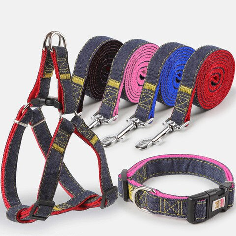 jeans leash and collar