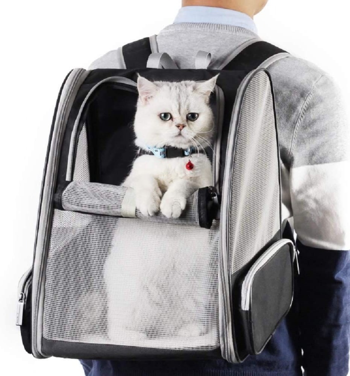 Pet Backpack Carrier for Small Cats Dogs