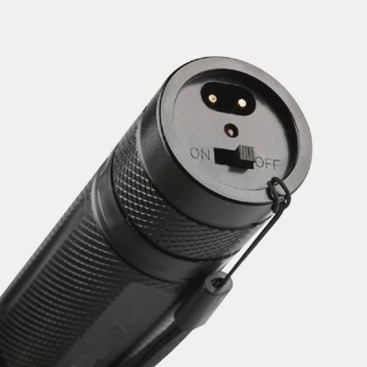 Stun Gun 