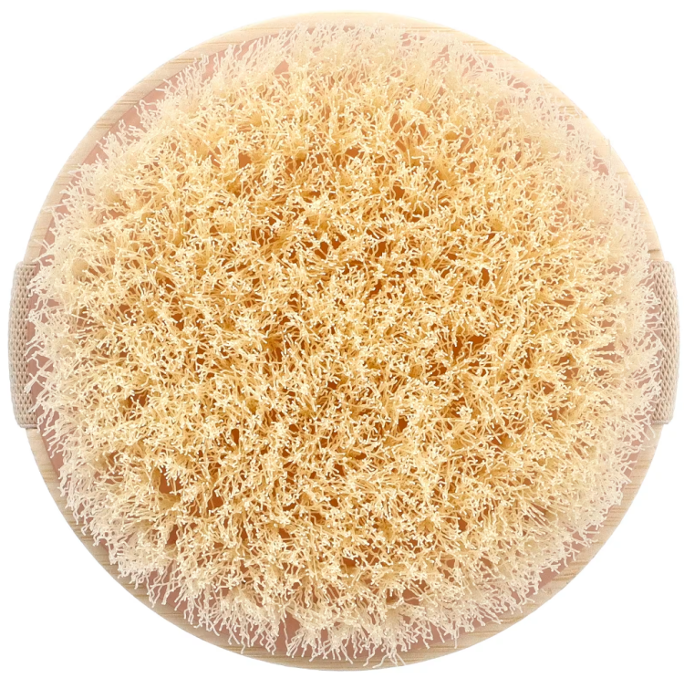 EcoTools, Dry Brush