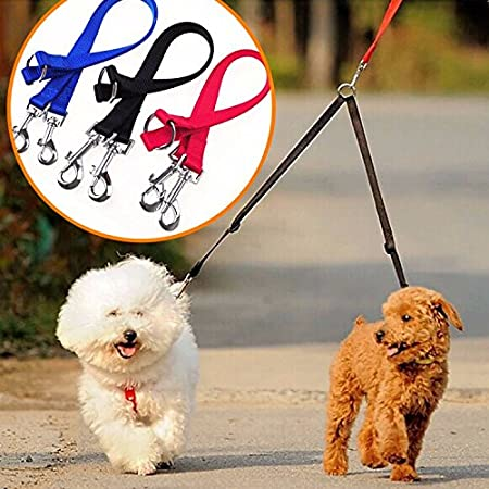 Double Head Collars Dog Leash