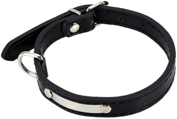 leather  dog collar