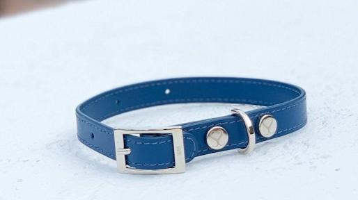 leather  dog collar