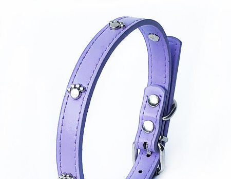 leather  dog collar