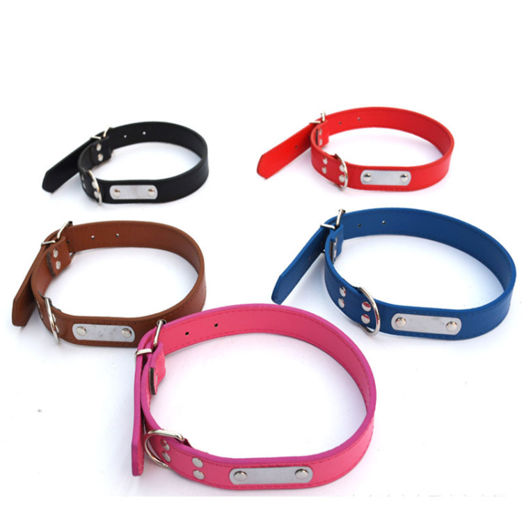 leather  dog collar