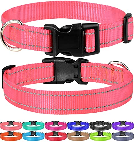 Dog solid collar