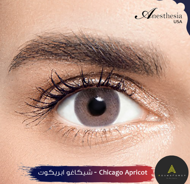 شيكاغو أبريكوت-CHICAGO APRICOT