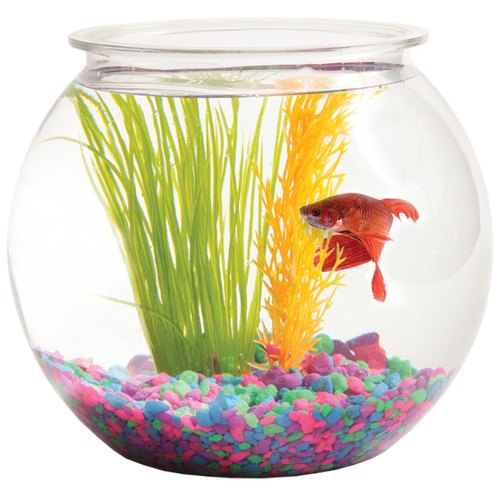 Fish bowl