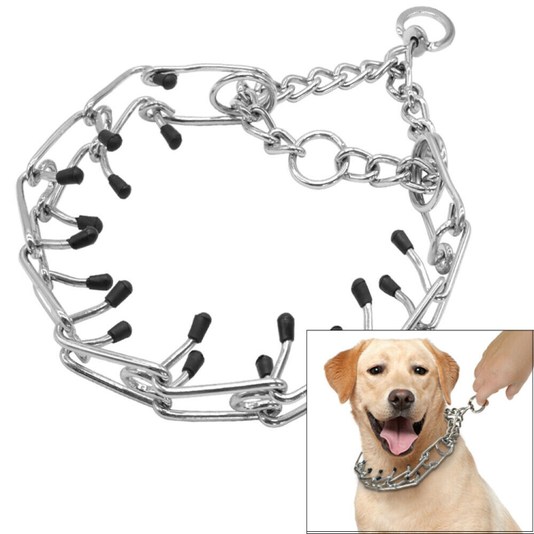 Chain dog collar large