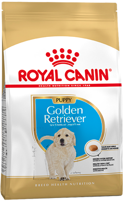 Royal Canin Golden Puppy 12k