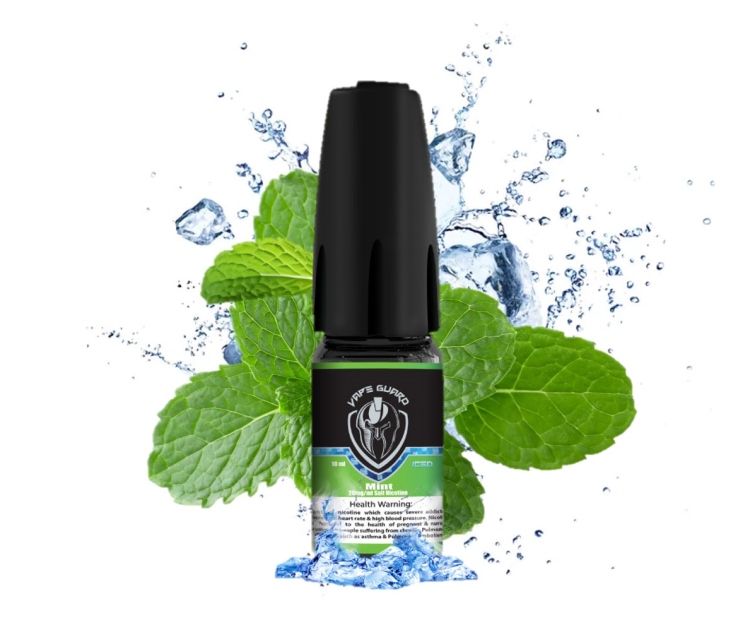 Vape Guard Mint Ice- SaltNic  Vape Juice 