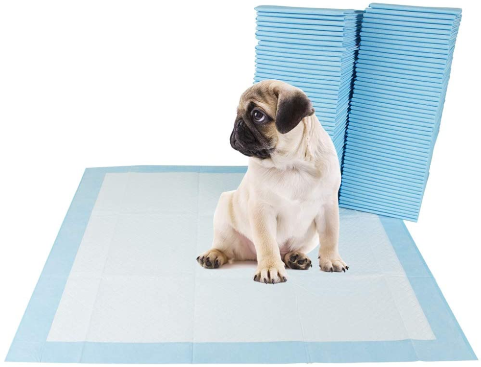 dog pads malti sizes