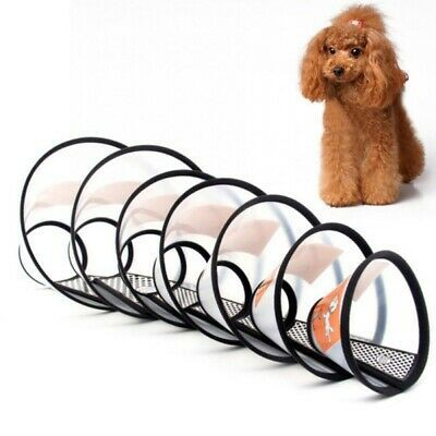 Medical Pet Cone Multi Sizes