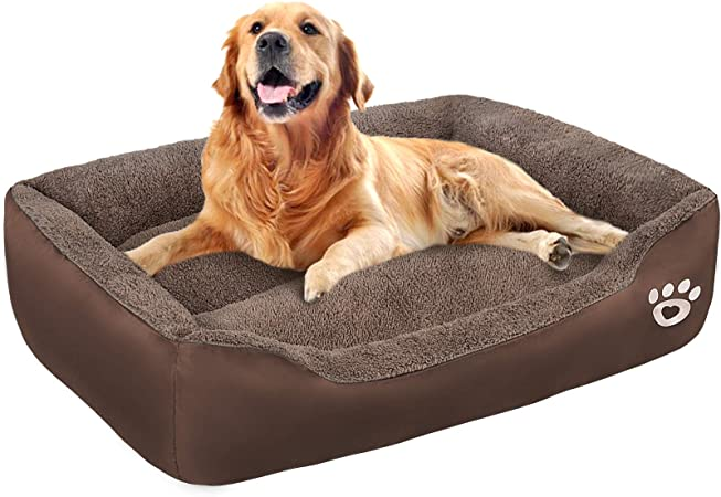 Large Dog Beds