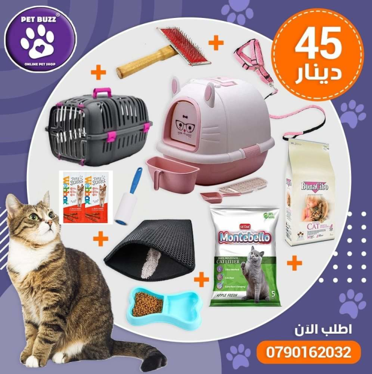 Full Creasy cat offers