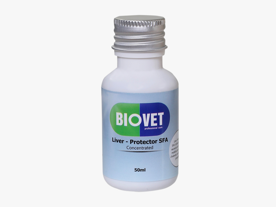 Biovet liver protector 50ml