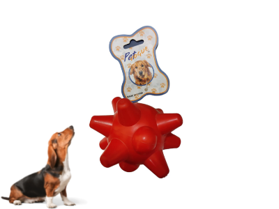 pet vogue star dog toy