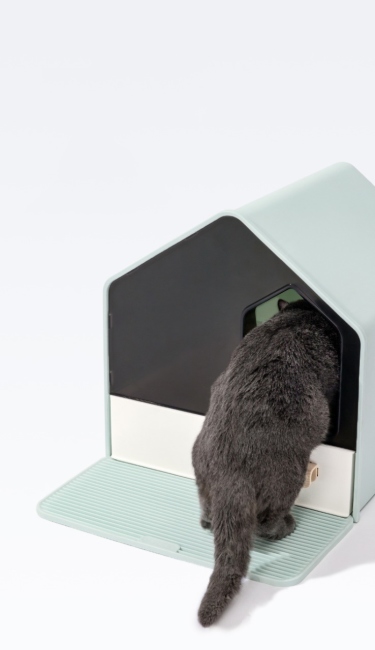 Luxury villa litter box with matt