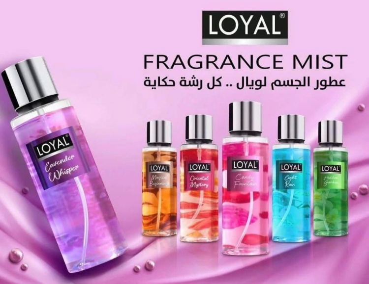 سبلاش LOYAL 