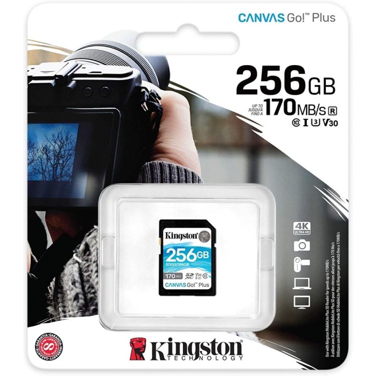 micro sd 256g canvas 256g canvas