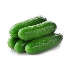 بطيخ