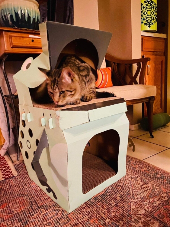 double decker t rex cat scratcher