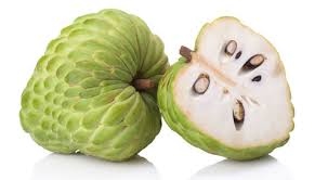 قشطة