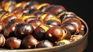 كستنا تاي كغ