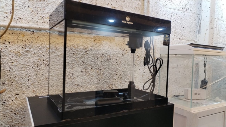 حوض كريستال ذكي من الشركة البريطانية  Clear Aquatics