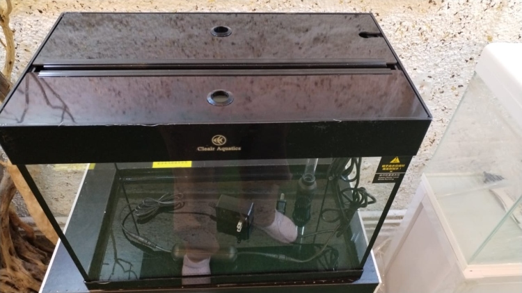 حوض كريستال ذكي من الشركة البريطانية  Clear Aquatics