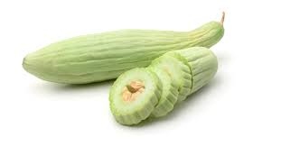فقوس