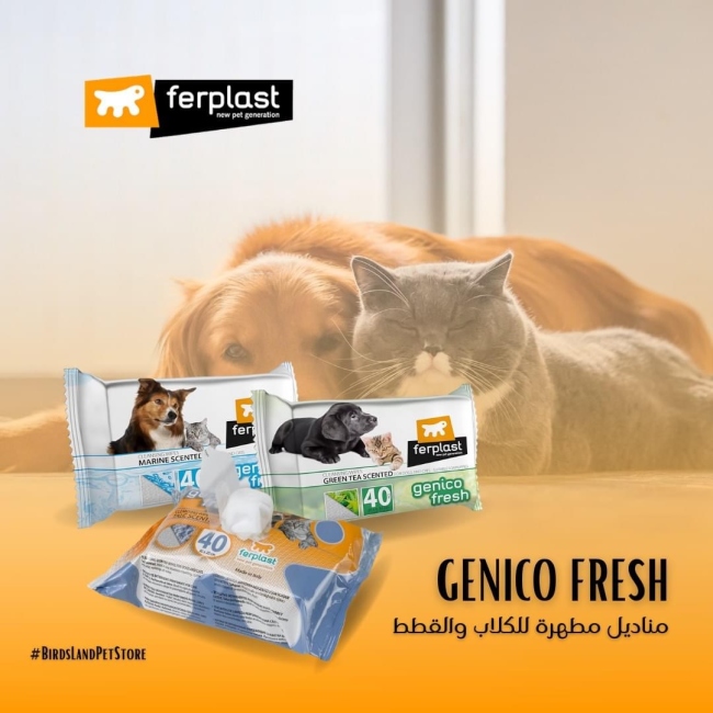 Ferplast cleansing wipes for cat