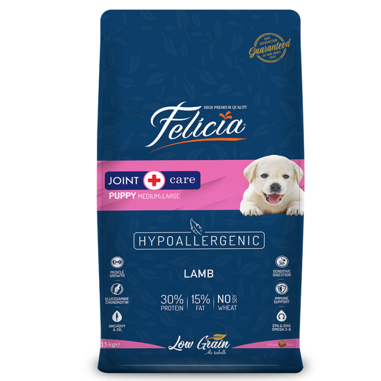 Felicia puppy Hypoallergenic large dog 3 kg