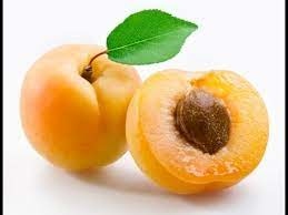 مشمش