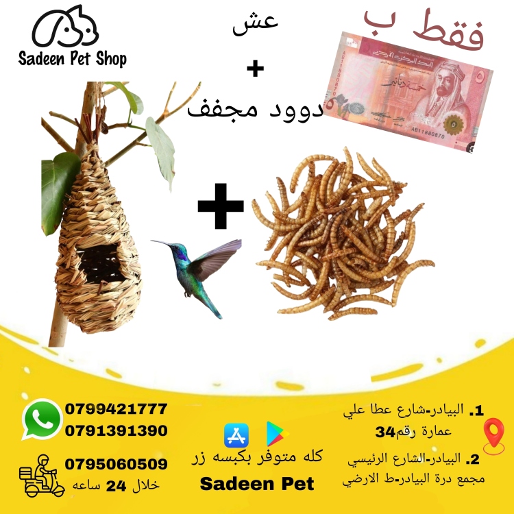 عرض 5 دنانير - 2