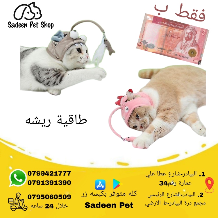 عرض 5 دنانير - 4