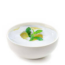 لبنة الريان