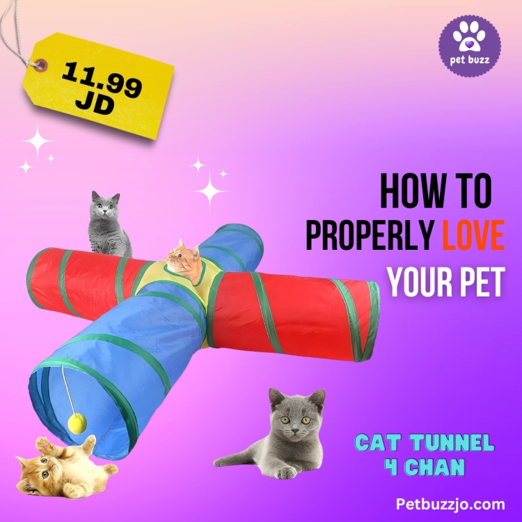 Rainbow Cat Tunnel ,Interactive Ball Playhouse with Multiple Entrances & Hiding Spaces