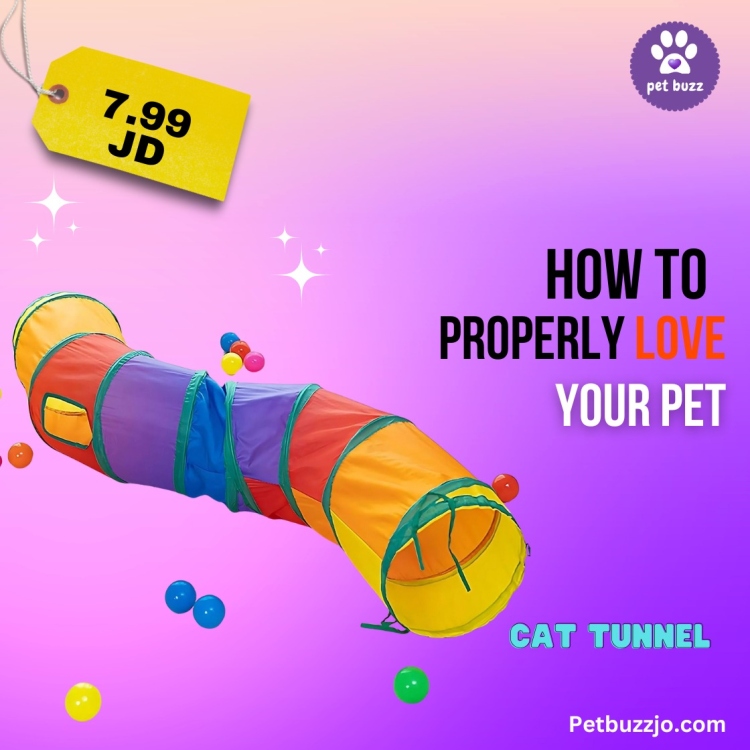  Cat Tunnel Toy with Interactive Balls