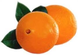 ابو صرة نخب