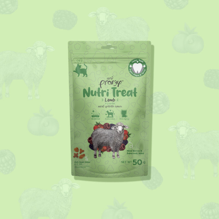 LAMB FLAVOR NUTRI-TREAT 50gm