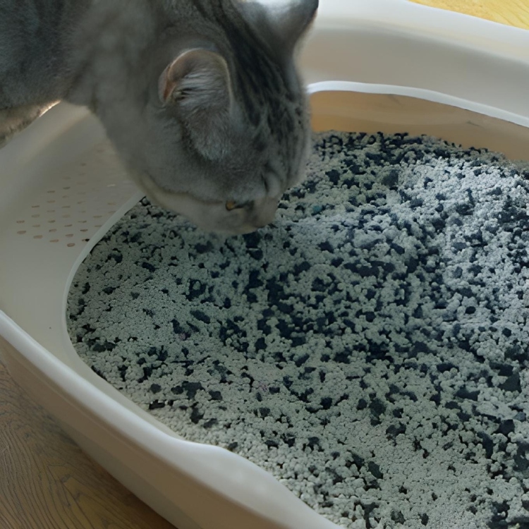 كربون جوز الهند الخافي لرائحة اللتر بوكس من Cat H2O