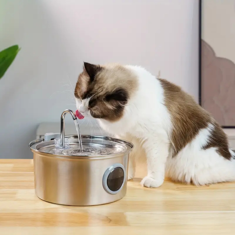 Water Fountain Stainless Steel for pets
