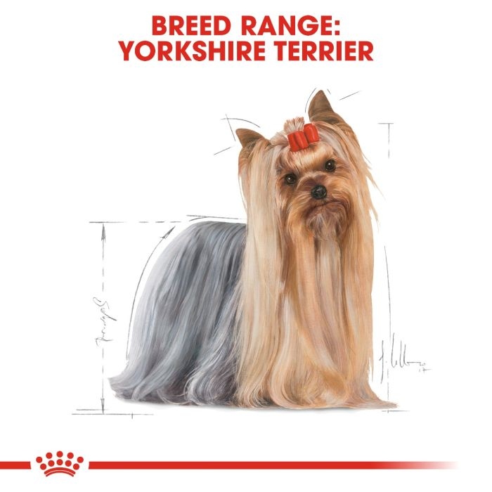 royal canin yorkshire puppy 1.5kg
