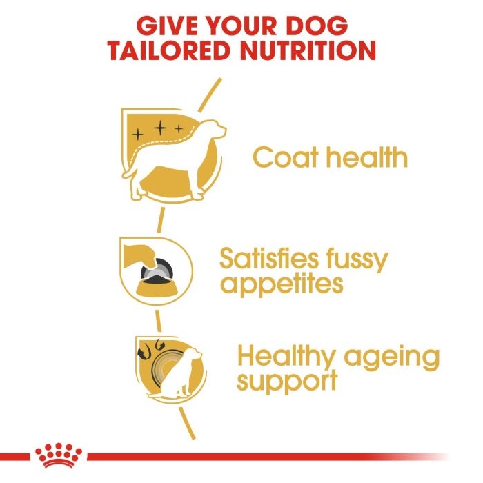 royal canin yorkshire puppy 1.5kg
