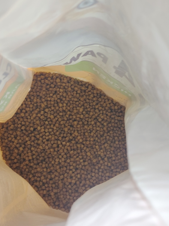 Club 4 paws للقطط الصغيرة بنكهة الدجاج بالتوزين