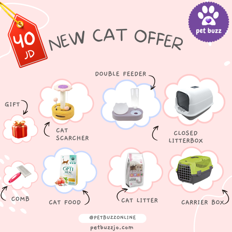 NEW CATE ALL SUPPLIES OFFER 