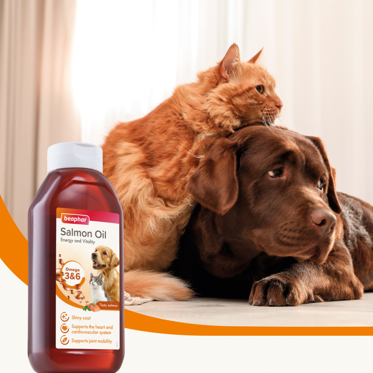 Salmon oil beaphar for cats & dogs 