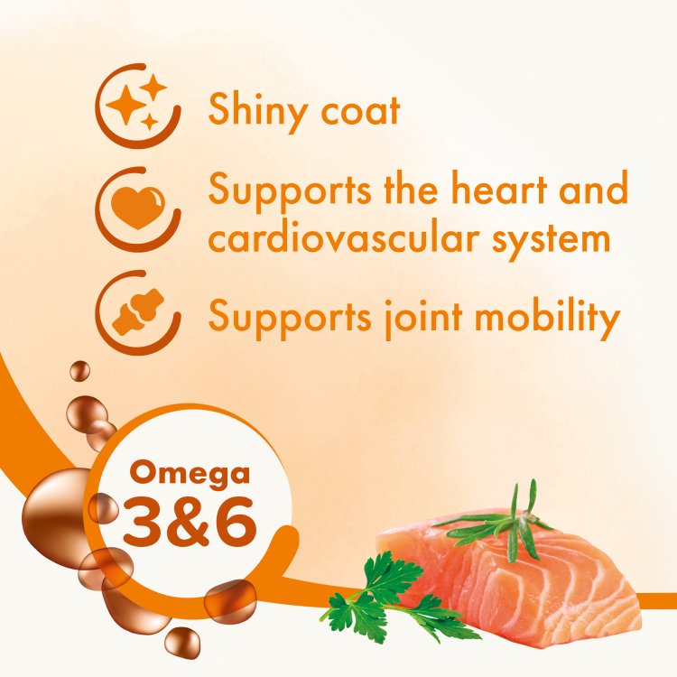 Salmon oil beaphar for cats & dogs 